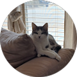 Profile photo of Juan Perez
