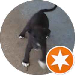 Profile photo of Chris Jackson