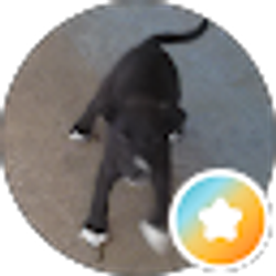 Profile photo of Chris Jackson