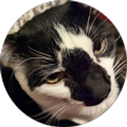 Profile photo of Micah