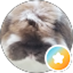 Profile photo of Carmelita Calo