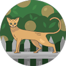 Profile photo of Mary lou Ruiz