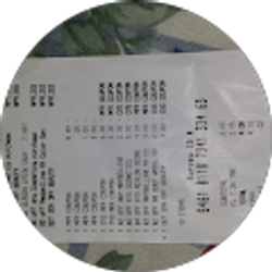 Profile photo of Toni Singletary