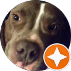 Profile photo of Nia Jordan