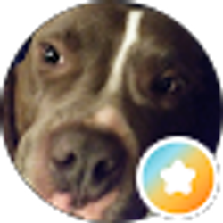 Profile photo of Nia Jordan