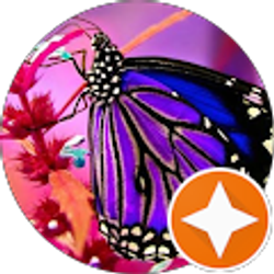 Profile photo of Diana Aleman