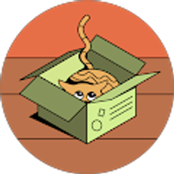 Profile photo of Rachel