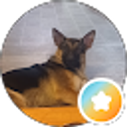 Profile photo of Irene Darrohn