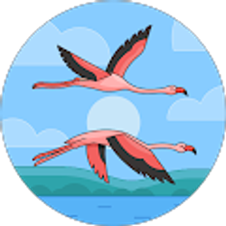 Profile photo of Solen Nefa