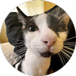 Profile photo of Felecity Handy