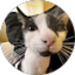 Profile photo of Felecity Handy
