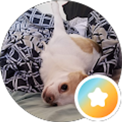 Profile photo of Cassandra Armstrong