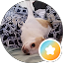 Profile photo of Cassandra Armstrong