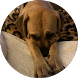 Profile photo of Nancy Jimenez