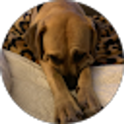 Profile photo of Nancy Jimenez