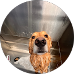 Profile photo of James Sappenfield