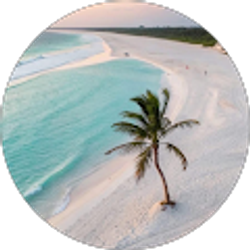 Profile photo of Kim Parker