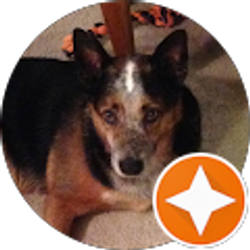 Profile photo of Laura Wand