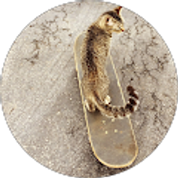 Profile photo of Matt H