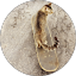 Profile photo of Matt H