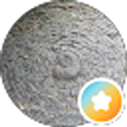 Profile photo of Horizon