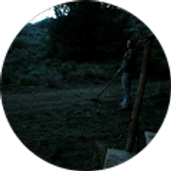 Profile photo of Lynn Jones