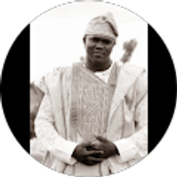 Profile photo of Gbenga Olowokande