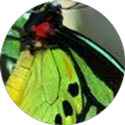 Profile photo of JuiCE WRLd