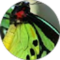 Profile photo of JuiCE WRLd