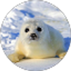 Profile photo of Matthew C