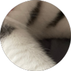 Profile photo of Isabella Fantauzzi