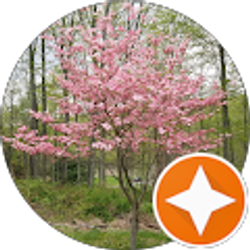 Profile photo of J McNamara