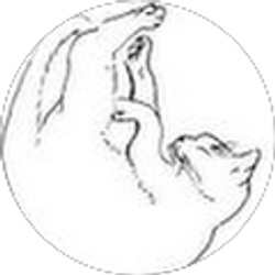 Profile photo of barbara trumpinski-roberts