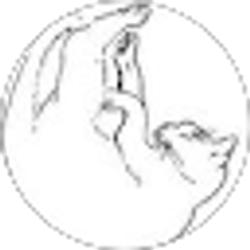 Profile photo of barbara trumpinski-roberts