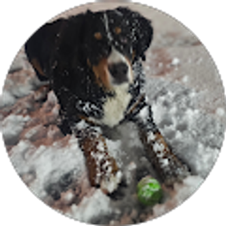 Profile photo of arnold becerra