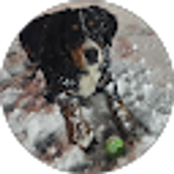 Profile photo of arnold becerra