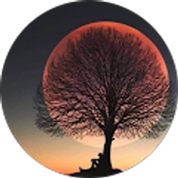 Profile photo of Ashley Bushong