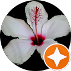 Profile photo of Emily Dittmer