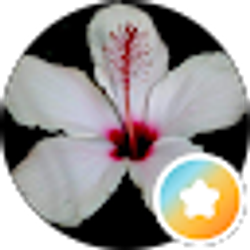 Profile photo of Emily Dittmer