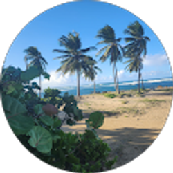 Profile photo of Kathy Carter