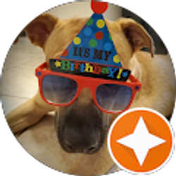 Profile photo of Susan Harberson