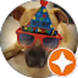 Profile photo of Susan Harberson