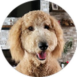 Profile photo of Murielle Borrie