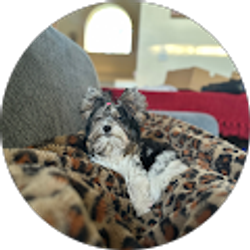 Profile photo of Cynthia Triplett