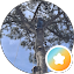 Profile photo of Trees by Wade