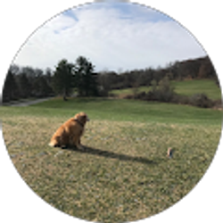 Profile photo of Will Dreiman