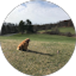 Profile photo of Will Dreiman
