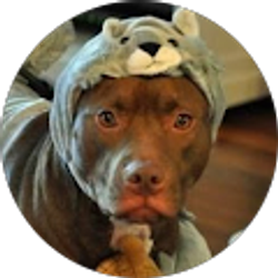 Profile photo of Jonas Grigenas