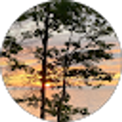 Profile photo of Brooklyn Frye