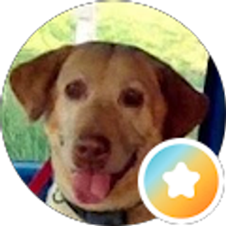 Profile photo of Ty Pls